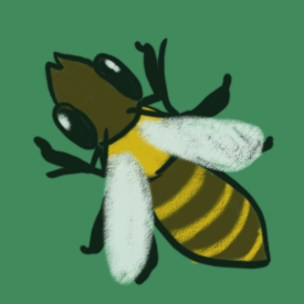 bee.png